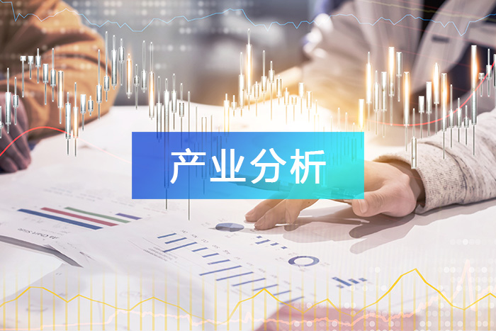 产业分析